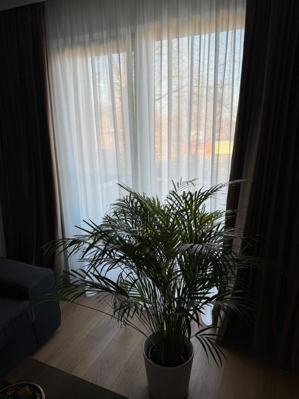 The Urban Retreat Apartment Bukarest